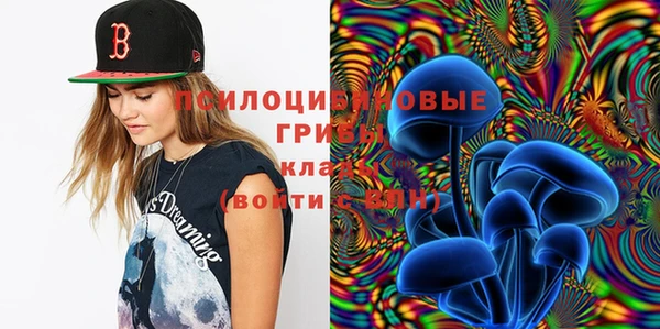 ПСИЛОЦИБИНОВЫЕ ГРИБЫ Наволоки
