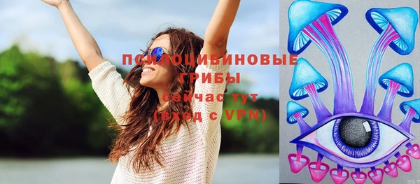крисы Апатиты