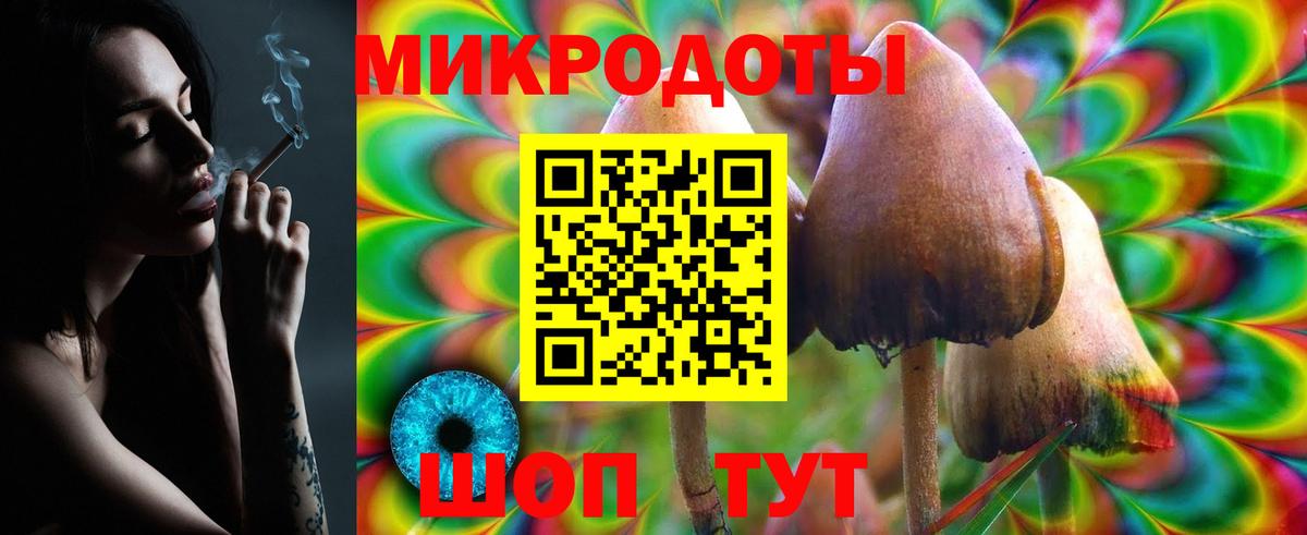 Галлюциногенные грибы прущие грибы  Галлюциногенные грибы Cubensis  Вход с VPN  Искитим 